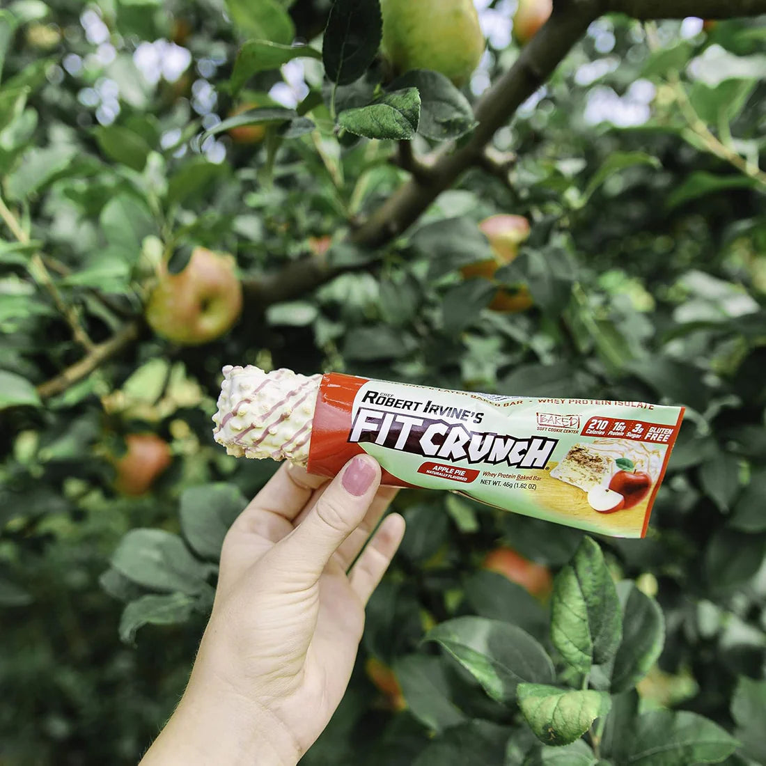 FITCRUNCH Snack Size Protein Bars (9 Count, Flavor Lovers)