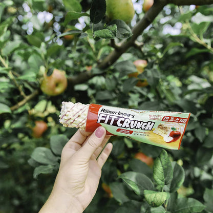 FITCRUNCH Snack Size Protein Bars (9 Count, Flavor Lovers)